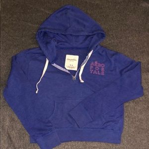 Blue Aeropostale 1/4 Zip Hoodie Medium